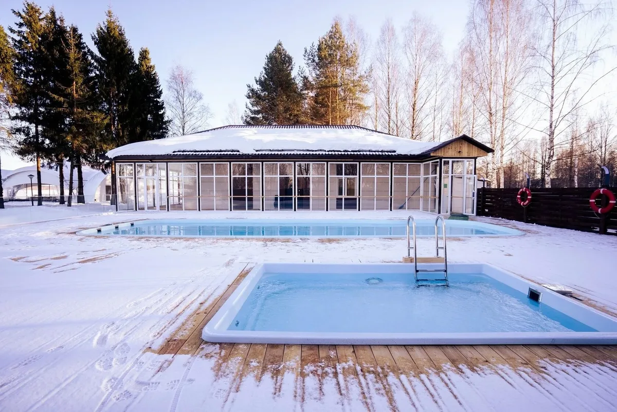 Laguna 4 — на участке в Курске